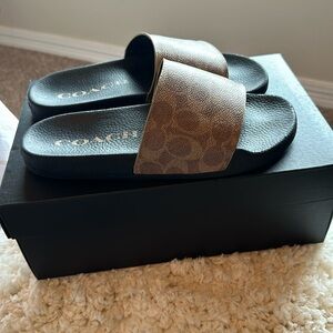 NWT-Coach Slides-brown